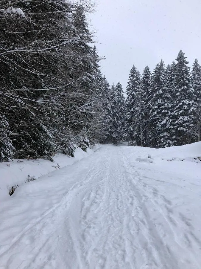 Studio Fondue Chocolat, 100M Des Pistes Wifi Fibre, Parking Prive Bernex Apartment